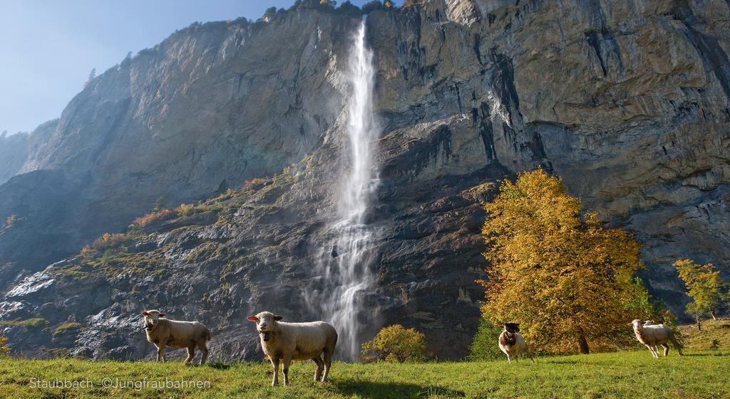 Camping Jungfrau Лаутербруннен Екстер'єр фото